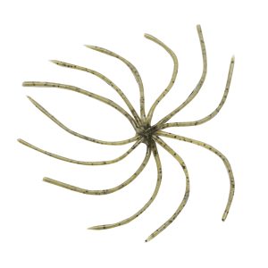Reins Umbrella Wire